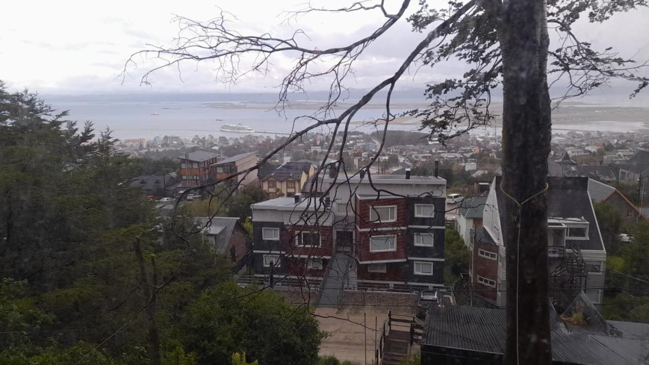 Isla De Pajaros
